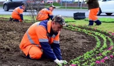 Объявление от ИП Богдан: «Недорогой плодородный грунт на продажу» 1 фото