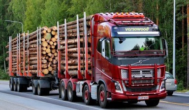 Объявление от Прайм Групп: «Лесовоз Volvo FH 16 700 в аренду» 1 фото