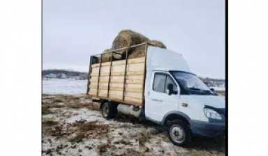 Объявление от Нурболат: «Грузоперевозки услуги Газель 4.20» 1 фото