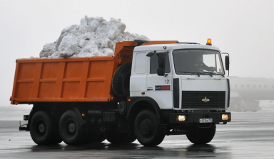 Объявление от Вавилон. Вывоз мусора.: «Вывоз мусора. Услуги грузчиков» 1 фото