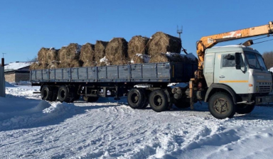 Объявление от Аренда спецтехники в Тюмени: «Вывезем ваш мусор. Быстро и недорого» 1 фото