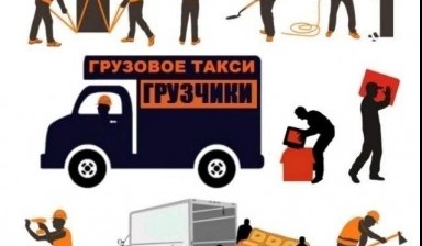 Объявление от Николай: «Грузоперевозки и грузчики по области и городу» 1 фото