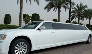 Wedding cars and limousines от Wellcarelimo:  1 photos