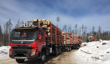 Объявление от Тихомиров Юрий Игоревич: «Услуги лесовоза/ сортиментовоза» 1 фото