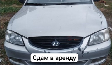 Прокат авто от Сергей Живчик: Hyundai 1 фото