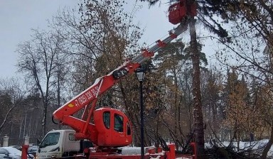 Телескопические автовышки от Матвейкина Олеся Вячеславовна:  4 фото