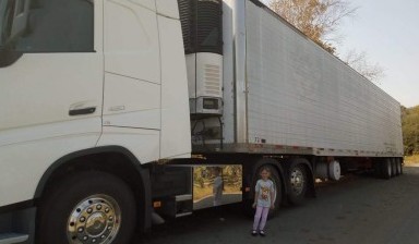Перевозка грузов до 20 тонн от Фрол Владимир Николаевич:  3 фото