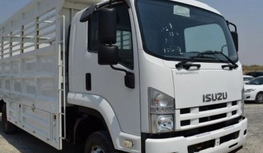 Cargo of up to 20 tonnes от Manager: 1 photos