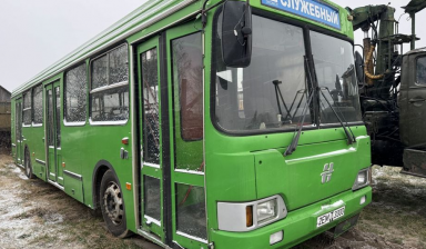 Большие автобусы на 30-60 мест от ИП Трапков Дмитрий Валентинович: 1 фото
