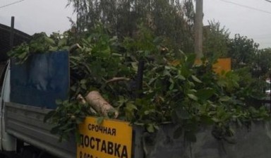 Вывоз мусора и бытовых отходов от Аман: Газель 1 фото