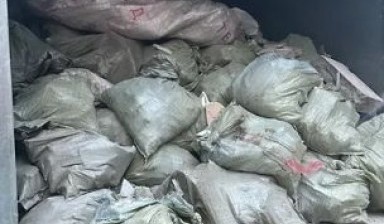 Вывоз мусора и бытовых отходов от Самат: Газель 1 фото