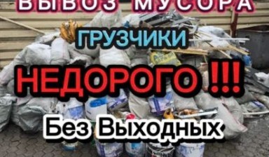 Вывоз мусора и бытовых отходов от Вывоз Мусора: Газель 1 фото