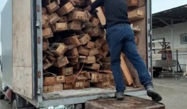 Вывоз мусора и бытовых отходов от Аймурат: Газель 1 фото