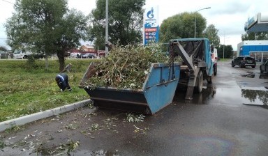 Вывоз мусора и бытовых отходов от Евгений: 2 фото