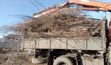 Вывоз мусора и бытовых отходов от Серый: ЗИЛ 1 фото