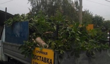 Вывоз мусора и бытовых отходов от Михаил: Газель 1 фото
