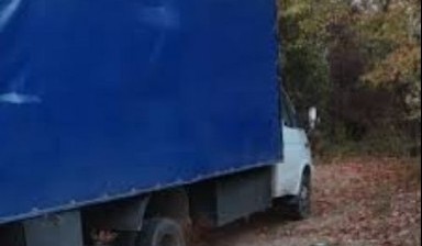 Вывоз мусора и бытовых отходов от Миша: Газель 1 фото