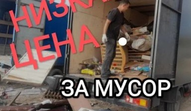 Вывоз мусора и бытовых отходов от Сергей: Газель 1 фото