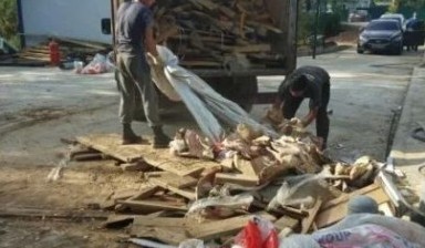 Вывоз мусора и бытовых отходов от Геннадий Александрович: Газель 1 фото