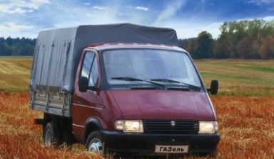 Вывоз мусора и бытовых отходов от Денис: Газель 1 фото