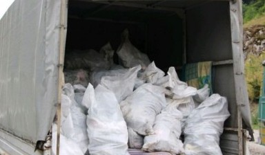 Вывоз мусора и бытовых отходов от Жанат: Газель 1 фото