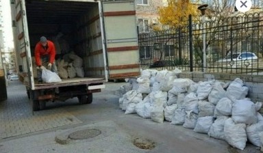 Вывоз мусора и бытовых отходов от Алексей: Газель 1 фото