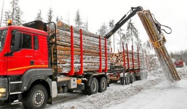 Перевозка грузов до 20 тонн от Поршнева Ольга Борисовна: 1 фото