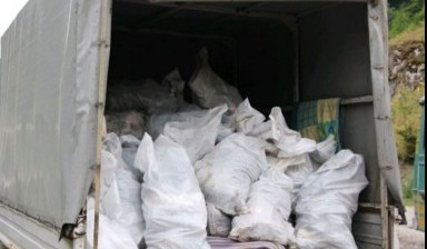 Вывоз мусора и бытовых отходов от Настя: Газель 1 фото