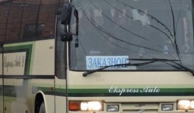Большие автобусы на 30-60 мест от Просенкова Марина Анатольевна: 3 фото