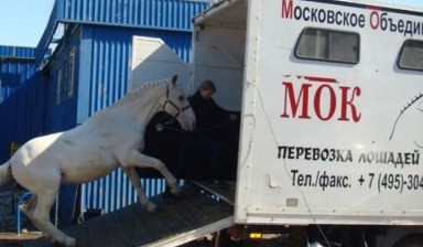 Грузовые фургоны от СТЛогистик24: 1 фото