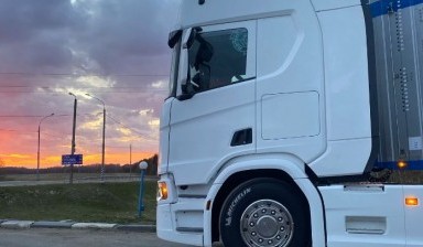 Перевозка лошадей автотранспортом от MAX-TRANS: 1 фото