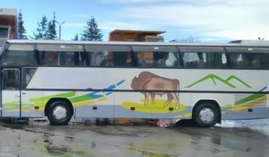 Большие автобусы на 30-60 мест от Вика: 4 фото