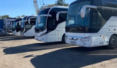 Большие автобусы на 30-60 мест от ТК БЭС: 4 фото