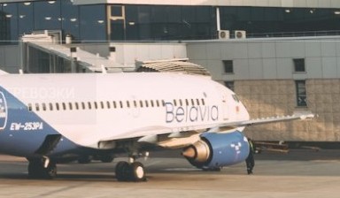 Самолёты и вертолёты от Skylin: EW-253PA 1 фото