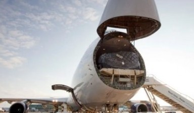 Самолёты и вертолёты от Transavia: Airbus 1 фото