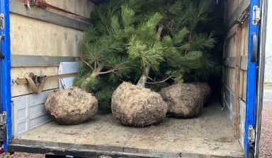 Перевозка грузов до 2 тонн от Александр: 3 фото