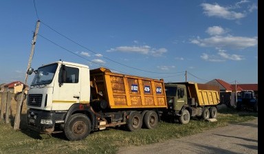Самосвалы и тонары от Адам: МАЗ 1 фото