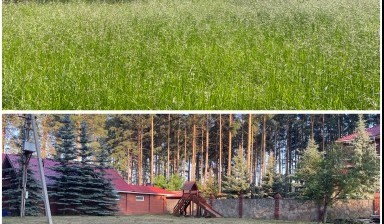 Объявление от Дергунов Кирилл Иванович: «Расчитска участков . Покос .» 2 фото