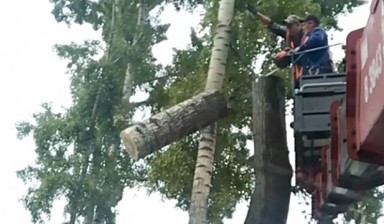 Благоустройство территории от Лысиков Алексей Алексеевич:  3 фото