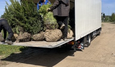 Грузоперевозки гидробортом от Любушкин АА: 4 фото