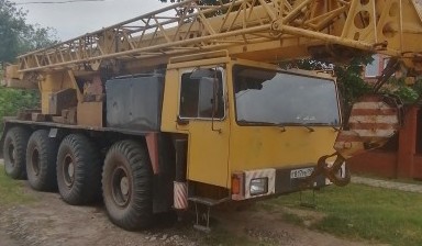 Аренда автокрана вездехода от Игорь: Либхерр 1 фото