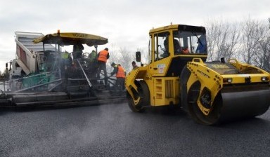 Спил дерева от Движение:  1 фото