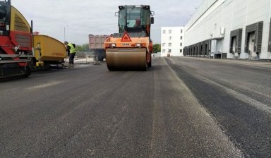 Спил дерева от Ореон:  1 фото
