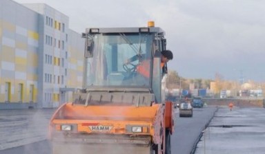 Спил дерева от Благострой:  1 фото