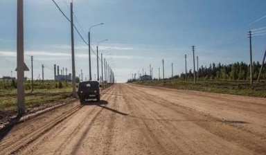 Спил дерева от Транс строй:  1 фото