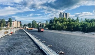 Спил дерева от Севдорстрой сервис:  1 фото