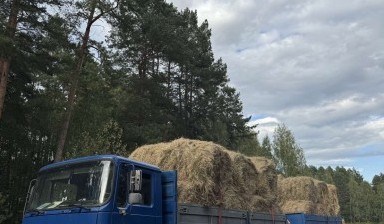 Перевозка грузов до 20 тонн от Роман:  1 фото