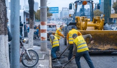 Спил дерева от Архангельские дороги и мосты:  1 фото