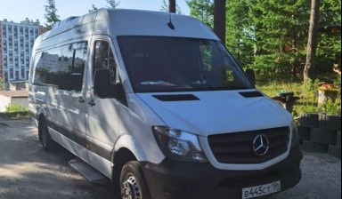 Большие автобусы на 30-60 мест от Сергей: 4 фото
