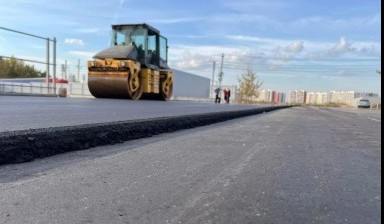 Спил дерева от ИРКАСФАЛЬТ:  1 фото